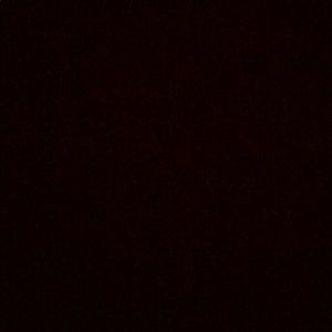 Meet your Posher, Elayna